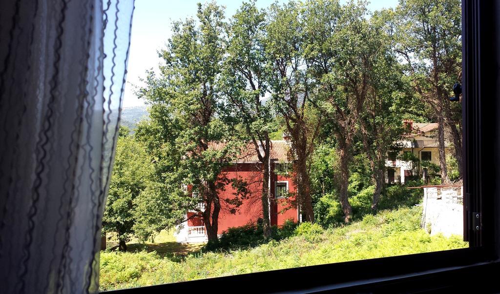 Four Countesses Virpazar